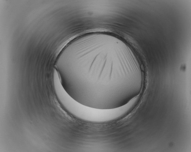 X0000111621177200908141311