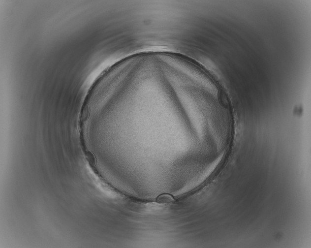 X0000111621181200908141311