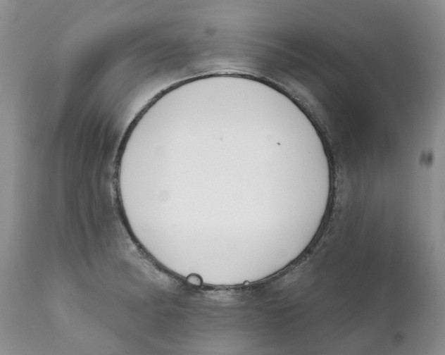 X0000111621182200908141311