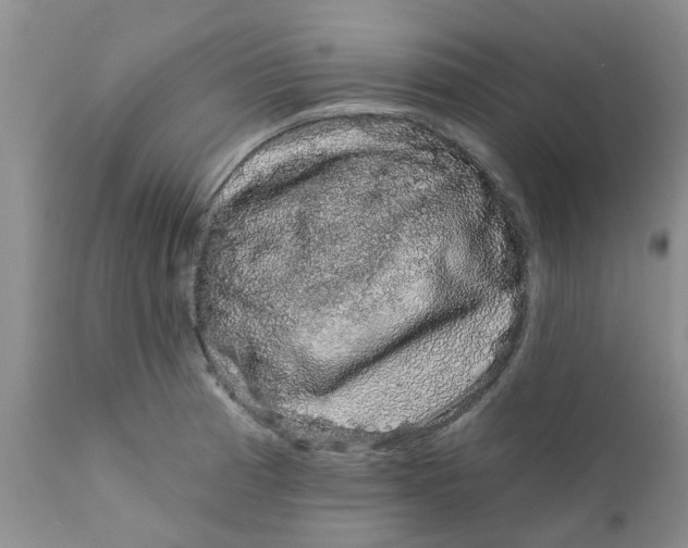 X0000111621185200908141311