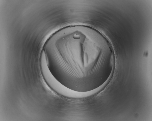 X0000111621189200908141311