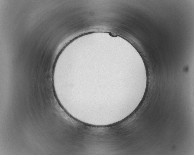 X0000111621192200908141311