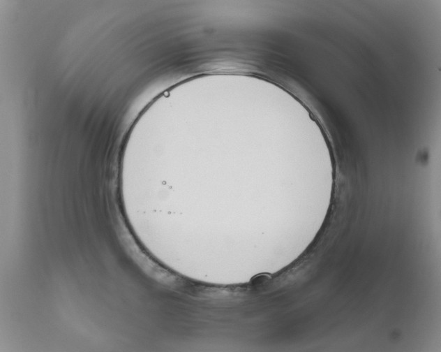 X0000111621195200908141310