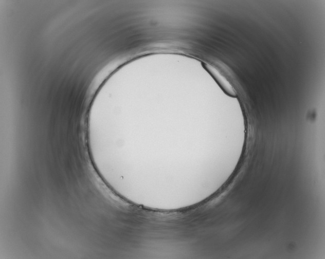 X0000111621196200908141310