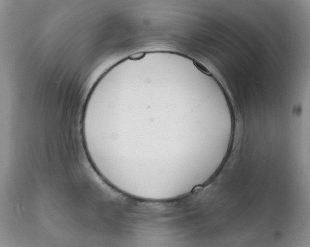 X0000111621197200908141310