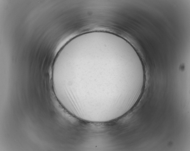 X0000111621198200908141310