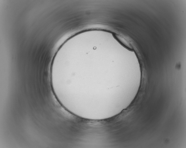 X0000111621199200908141310