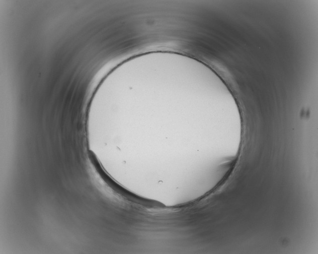 X0000111621200200908141310