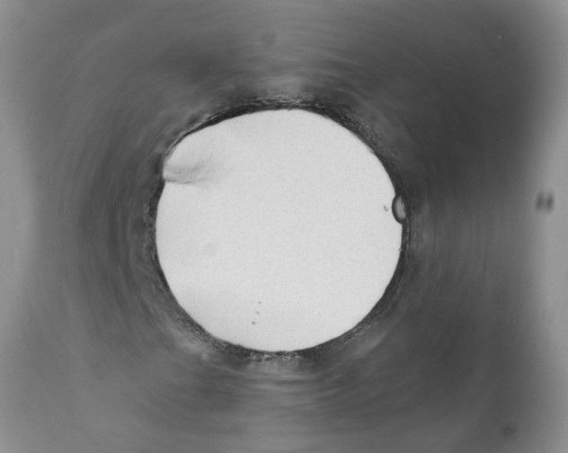 X0000111621201200908141310