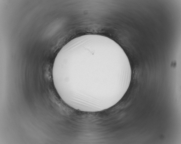 X0000111621202200908141310