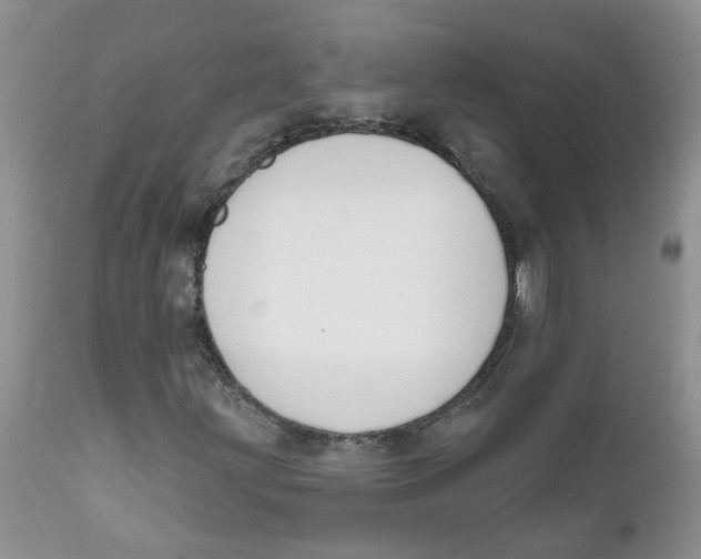 X0000111621203200908141310