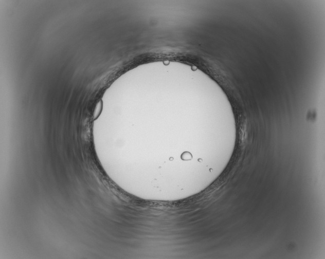 X0000111621204200908141310