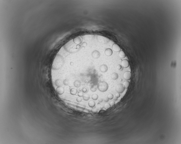 X0000111621205200908141310