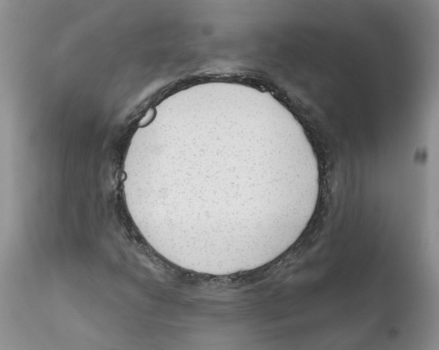 X0000111621206200908141310