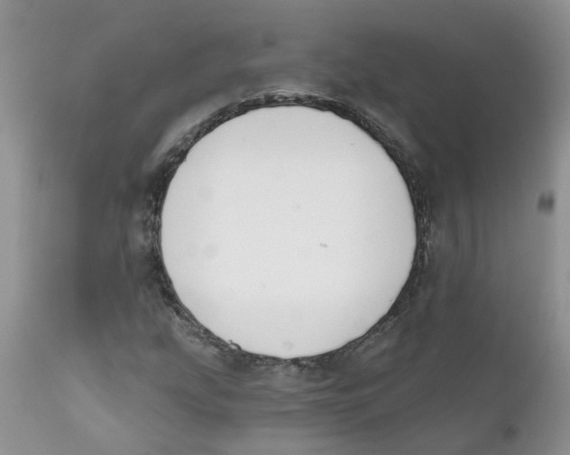 X0000111621207200908141310