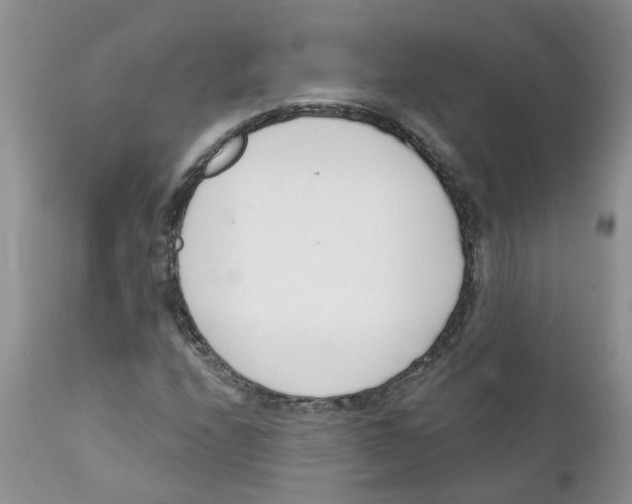 X0000111621208200908141310