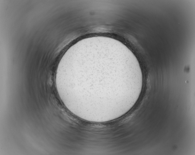 X0000111621209200908141310