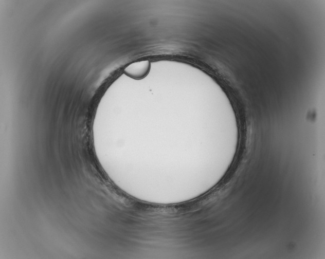 X0000111621210200908141310