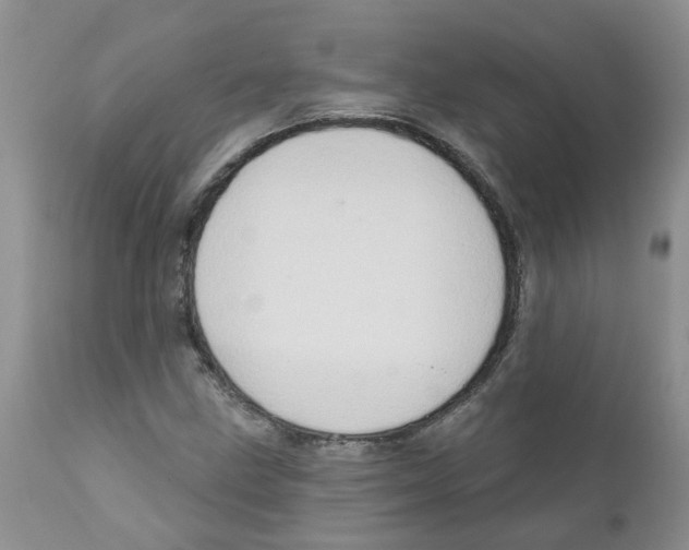 X0000111621211200908141310