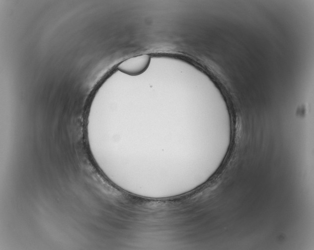 X0000111621212200908141310