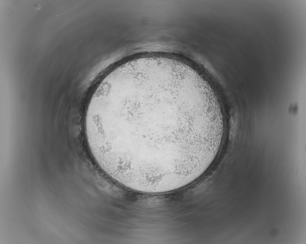 X0000111621213200908141310