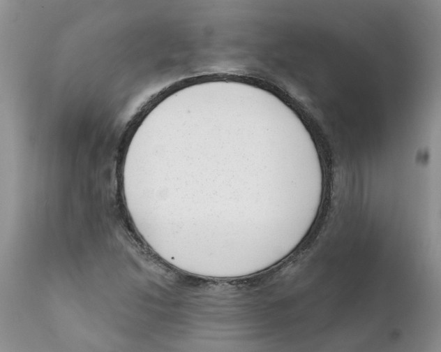 X0000111621214200908141310