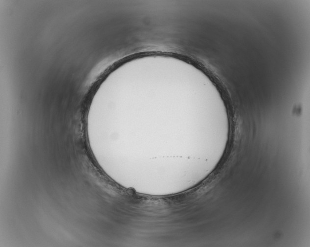 X0000111621215200908141310