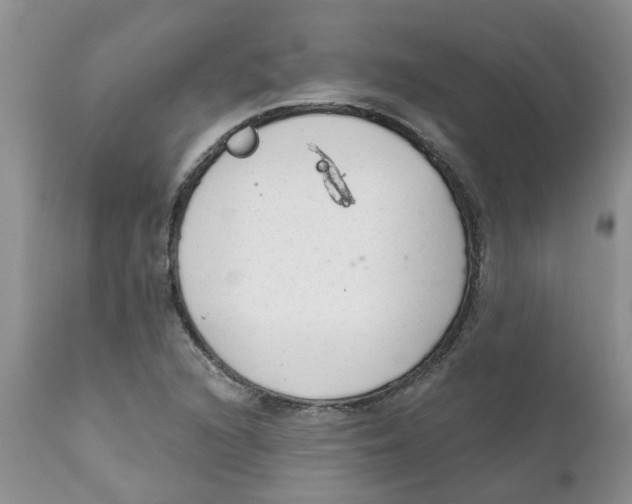 X0000111621216200908141310