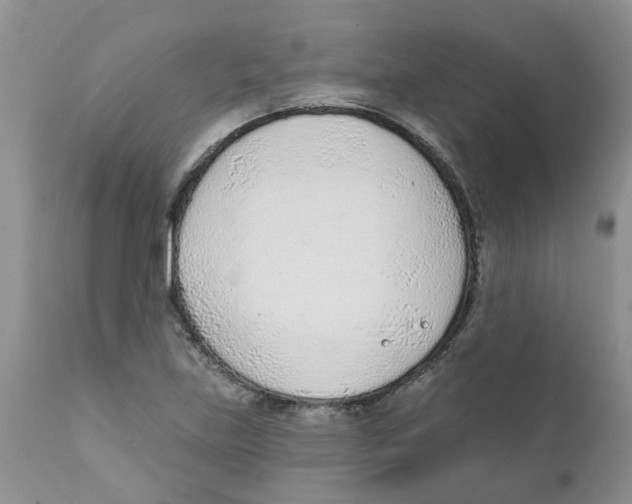 X0000111621219200908141310