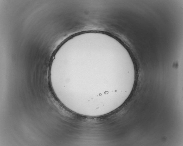 X0000111621220200908141310