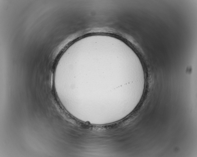 X0000111621221200908141310