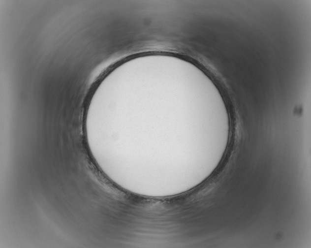 X0000111621222200908141310