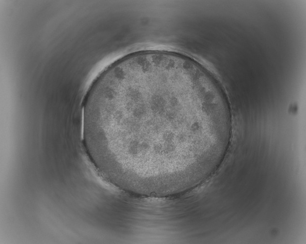 X0000111621223200908141310