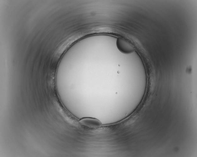 X0000111621225200908141310