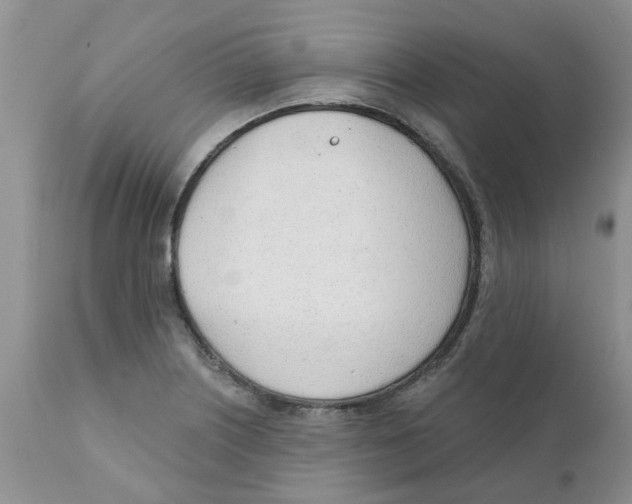 X0000111621226200908141310