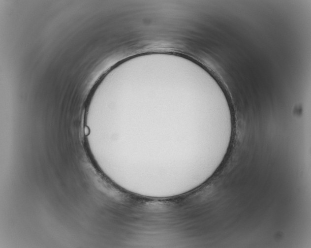 X0000111621227200908141310