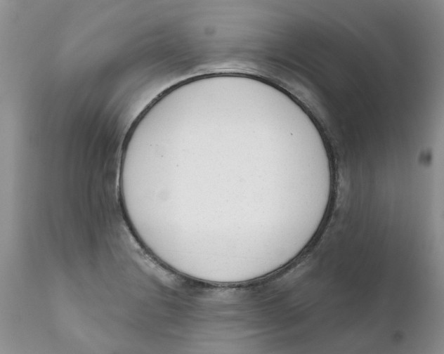 X0000111621228200908141310