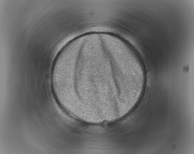 X0000111621229200908141310