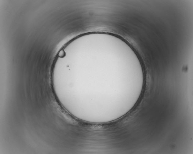 X0000111621230200908141310