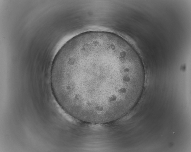 X0000111621231200908141310