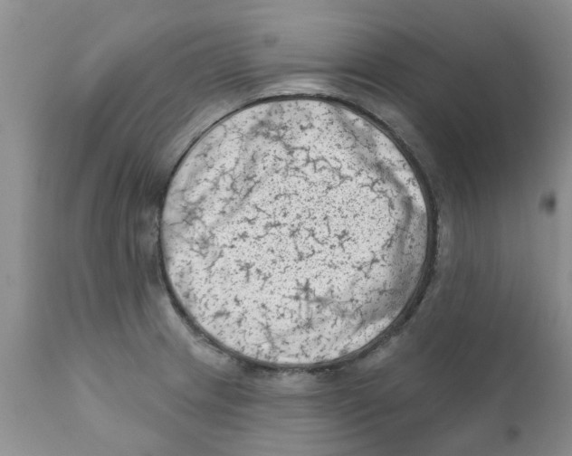 X0000111621233200908141310