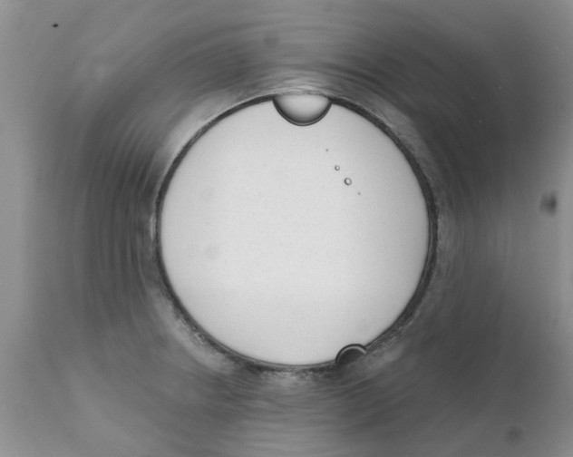 X0000111621234200908141310