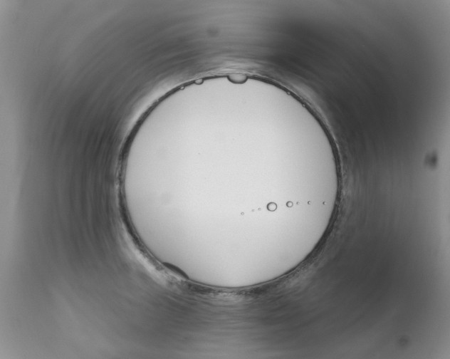 X0000111621235200908141310