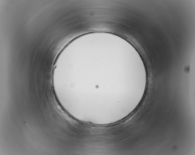 X0000111621236200908141310