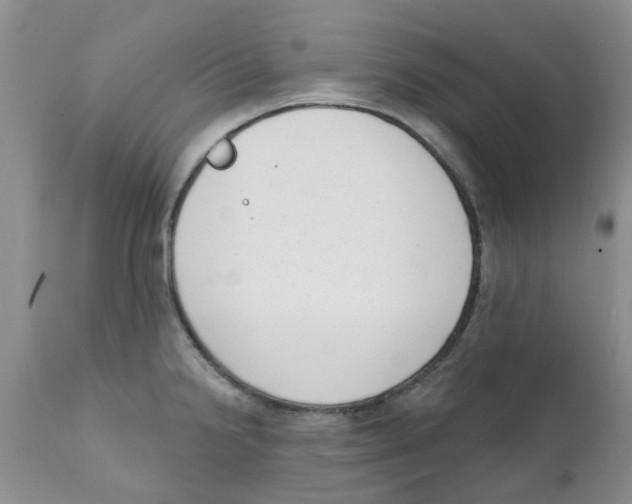 X0000111621238200908141310