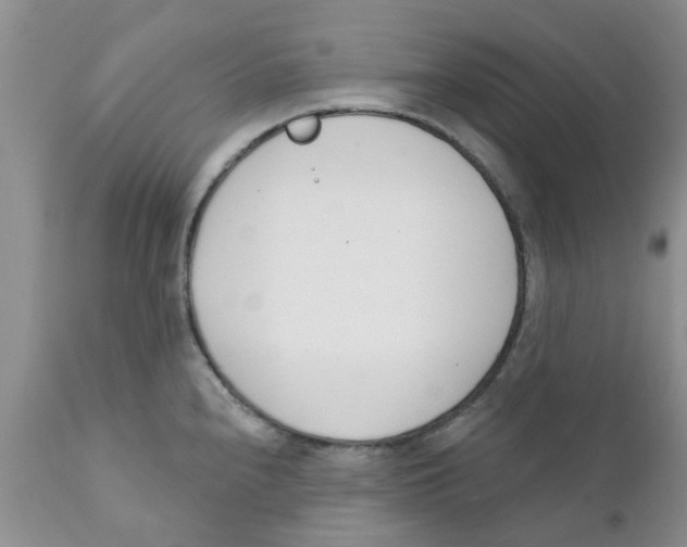 X0000111621240200908141310