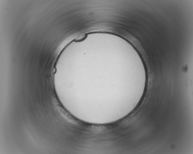 X0000111621242200908141310