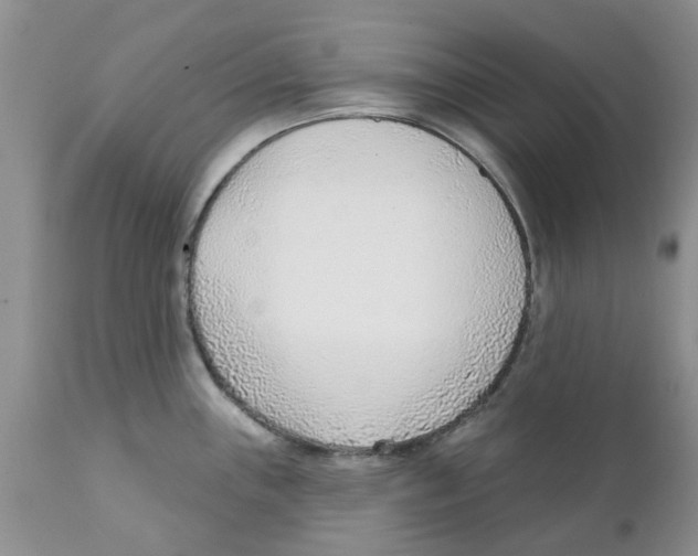 X0000111621243200908141310