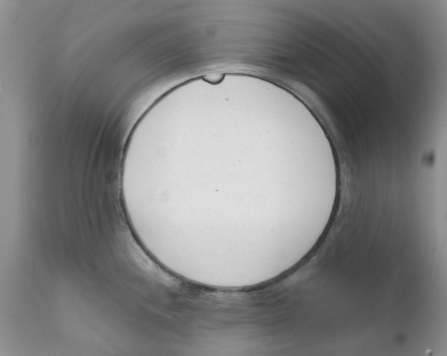 X0000111621244200908141310