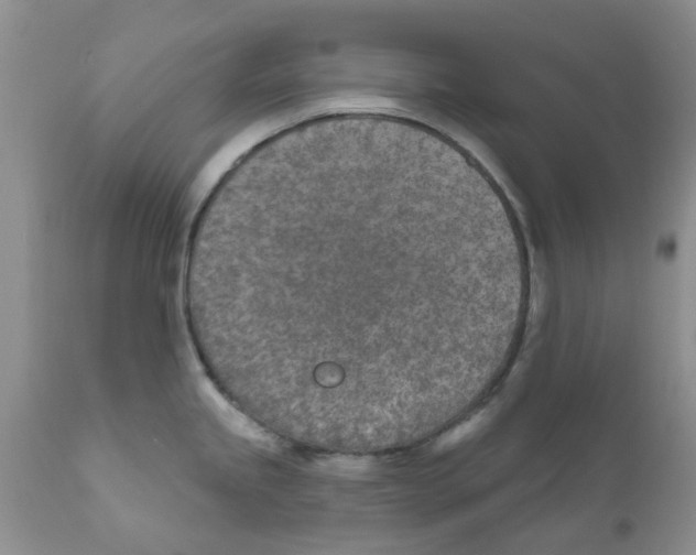 X0000111621245200908141310